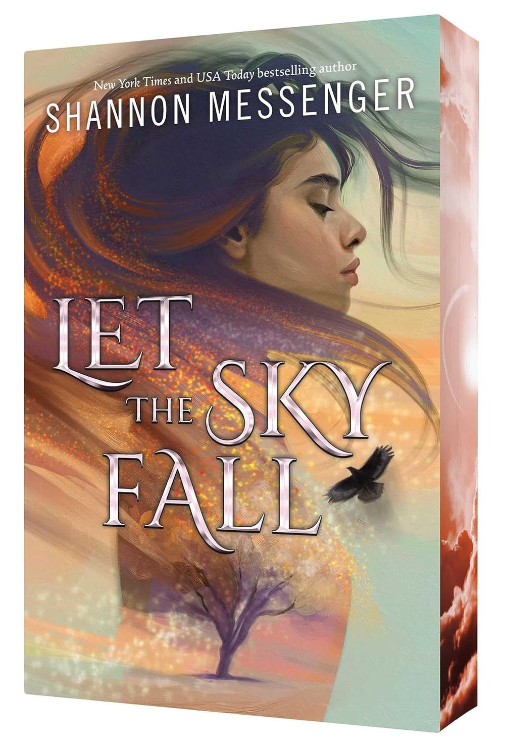 Sky Fall 1: Let The Sky Fall (Paperback)