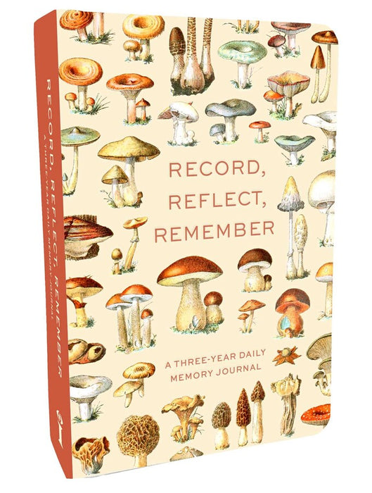 Record Reflect Remember: A Three-Year Daily Memory Journal (Hardcover)