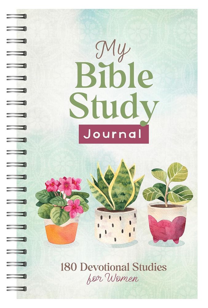 My Bible Study Journal (Paperback)