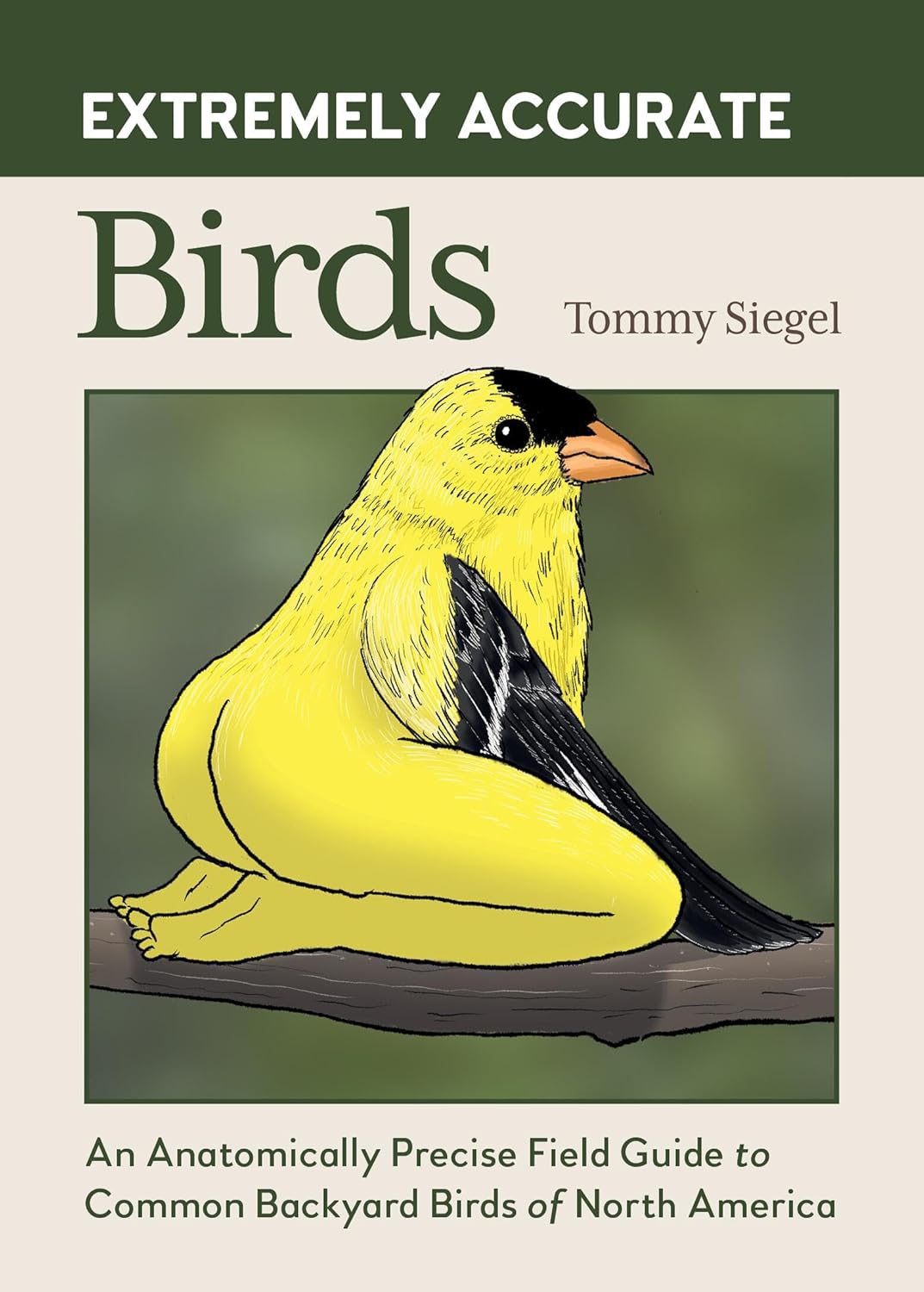 Extremely Accurate Birds (Hardcover)