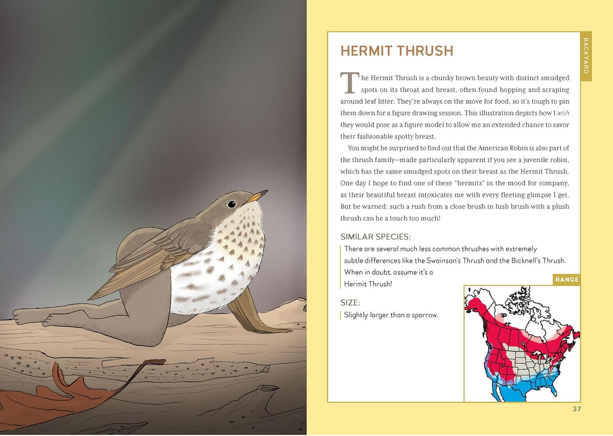 Extremely Accurate Birds (Hardcover)