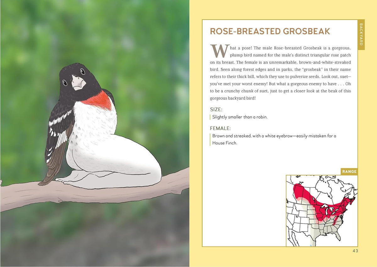 Extremely Accurate Birds (Hardcover)