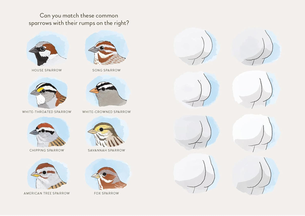 Extremely Accurate Birds (Hardcover)