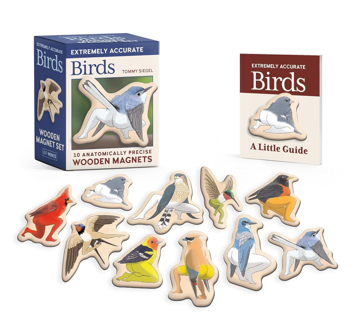 Extremely Accurate Birds Wooden Magnet Set