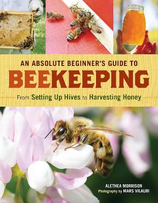 An Absolute Beginner's Guide To Beekeeping