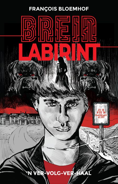 Breinlabirint (Paperback)