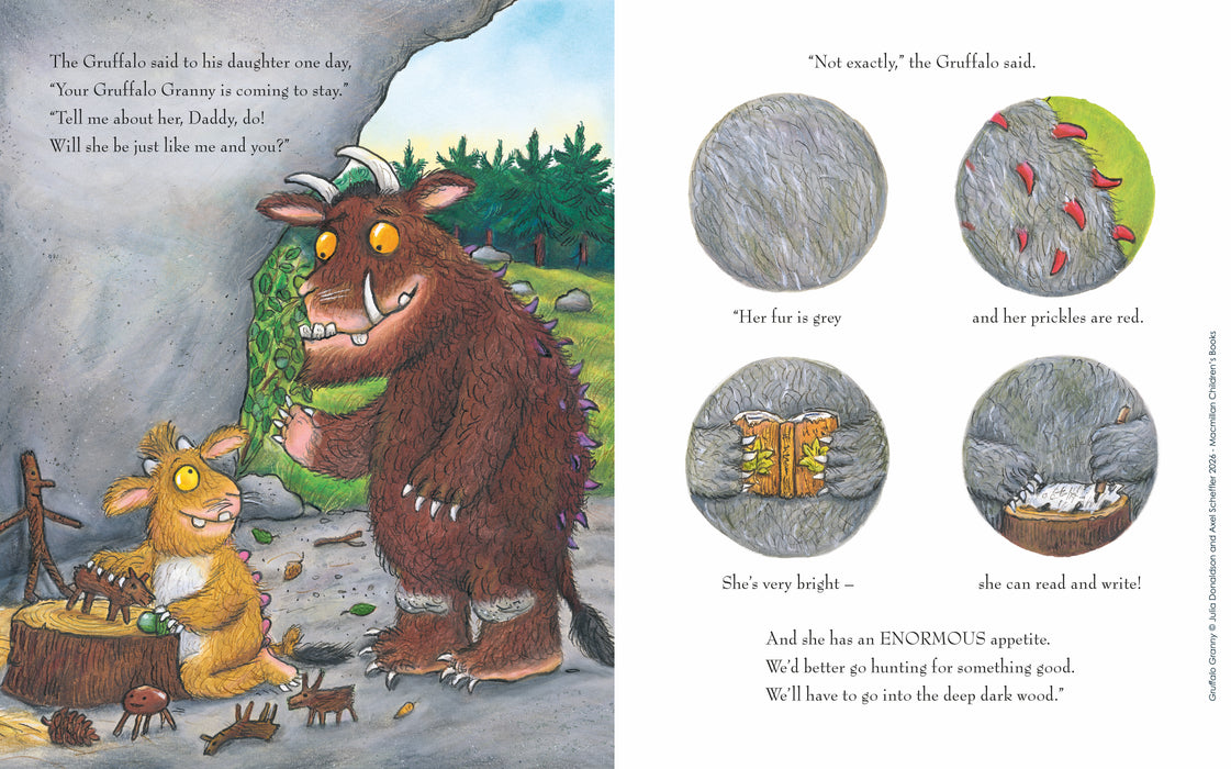 Gruffalo Granny (Hardcover)