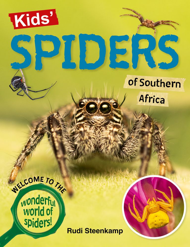 Kid's Spiders Of Southern Africa (Paperback)