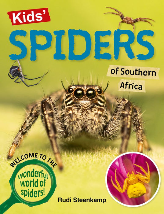 Kid's Spiders Of Southern Africa (Paperback)