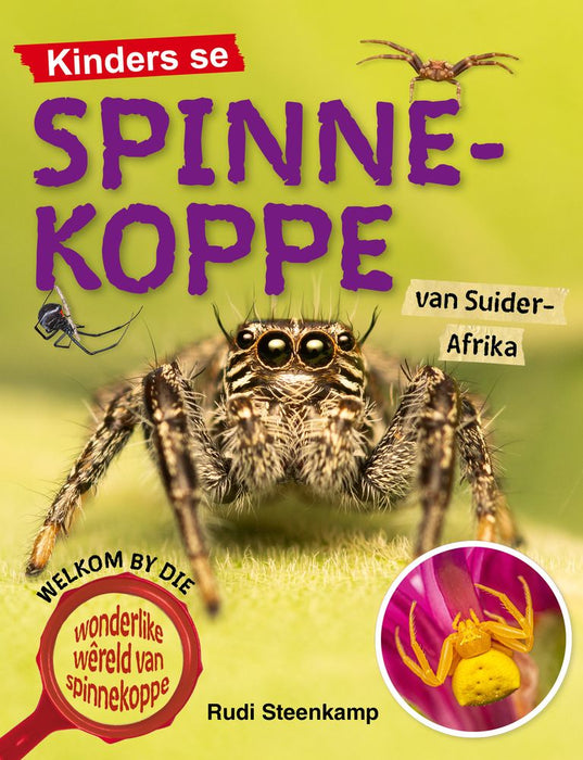 Kinders Se Spinnekoppe Van Suider-Afrika (Paperback)