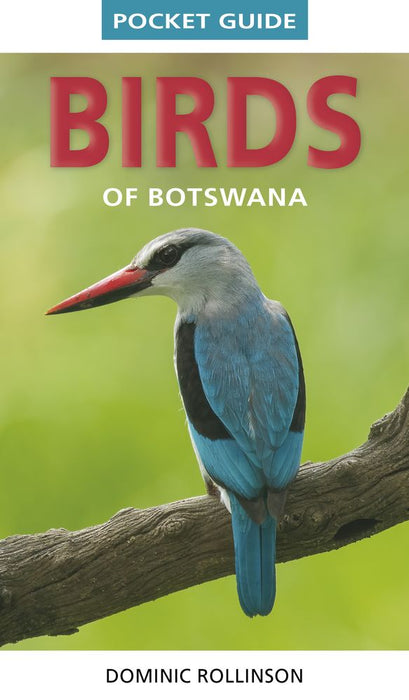 Pocket Guide To The Birds of Botswana (Paperback)