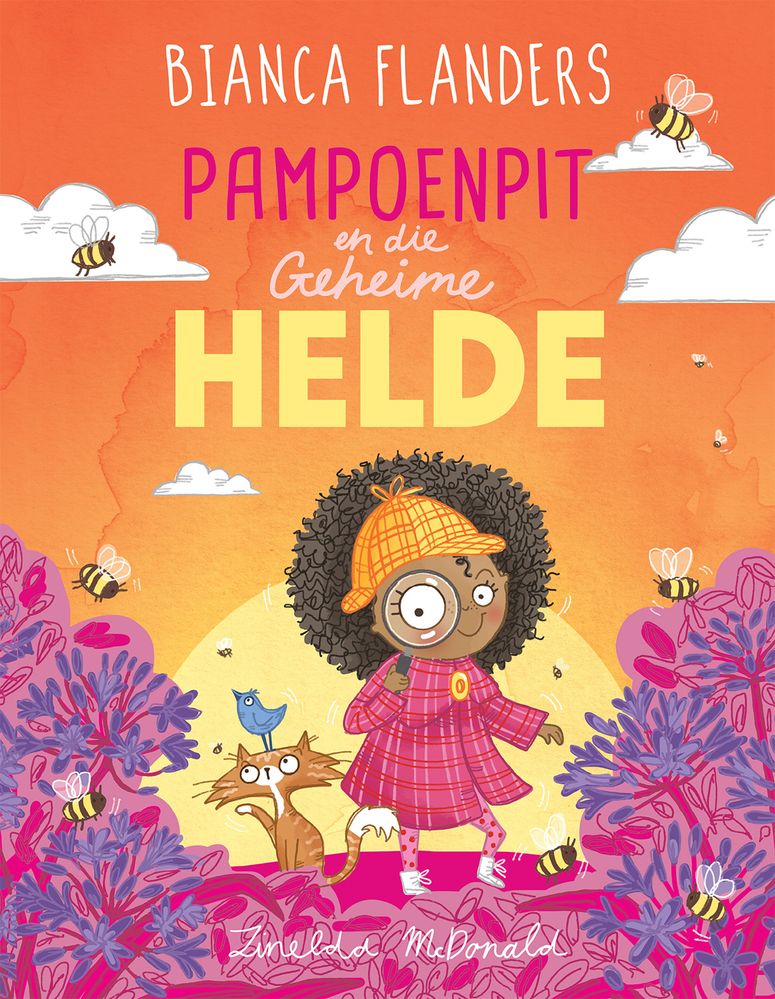 Pampoenpit en die Geheime Helde (Paperback)