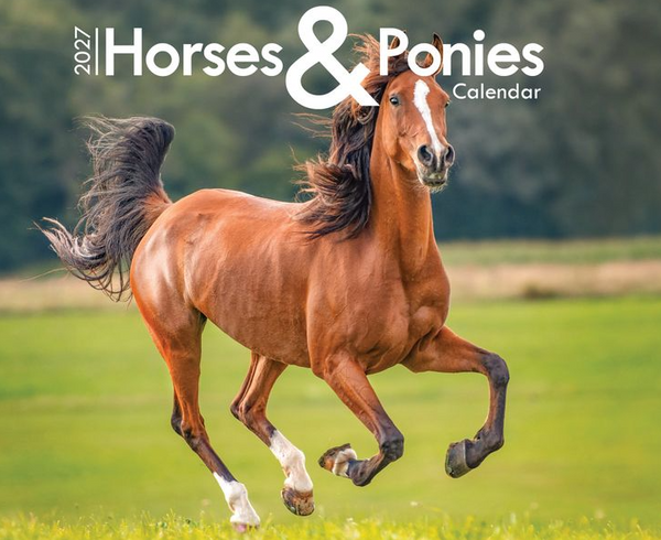 2027 Horses & Ponies Calendar