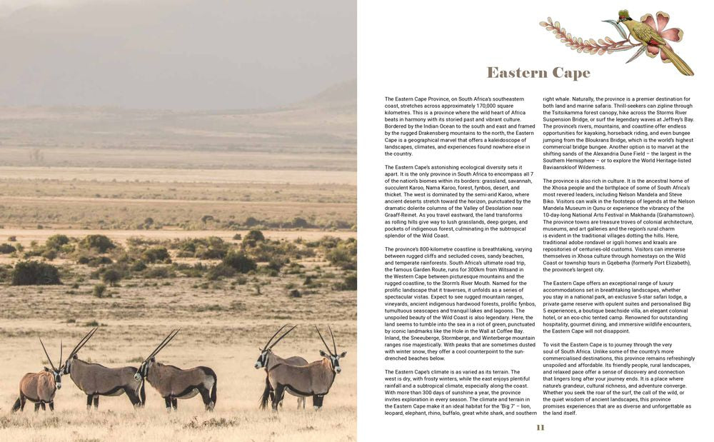 South Africa’s Best Stays (Hardcover)