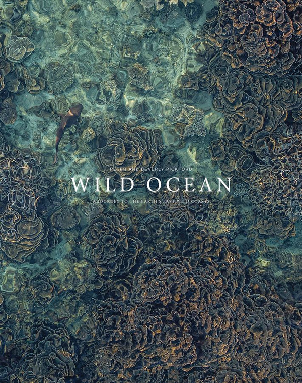 Wild Ocean: A Journey into the Earth's Last Wild Coasts (Hardcover)