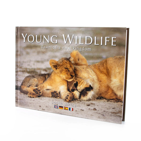 Young Wildlife