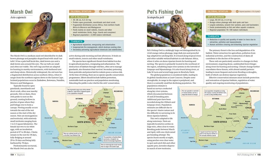 Birds on the Brink (Paperback)