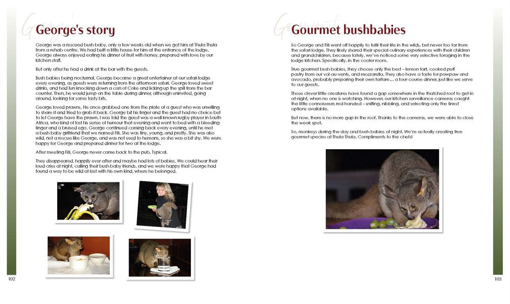 Dining With Elephants (Paperback)