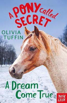 A Pony Called Secret 4: A Dream Come True (Paperback)