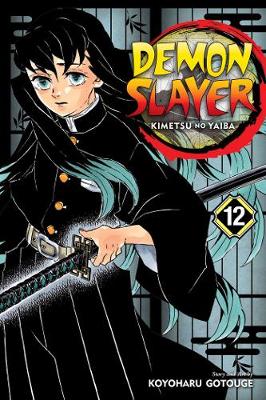 Demon Slayer: Kimetsu no Yaiba, Vol. 12 (Trade Paperback)