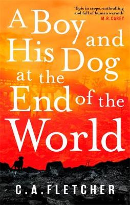 A Boy and his Dog at the End of the World (Paperback)