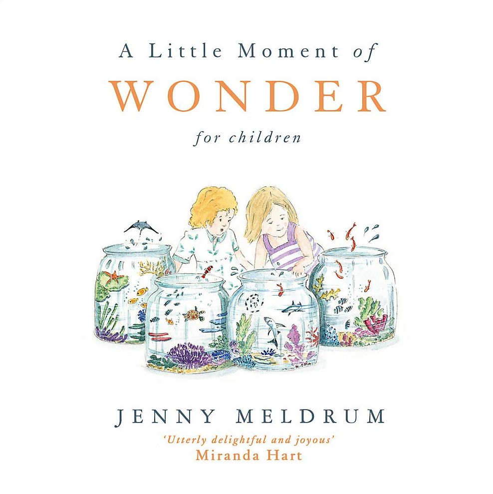 A Little Moment of Wonder for Children (Hardcover)