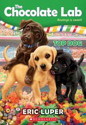 The Chocolate Lab 3: Top Dog (Paperback)