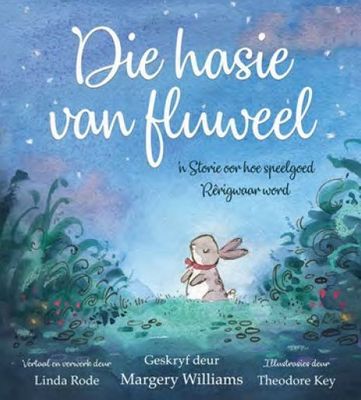 Die Hasie Van Fluweel - 'n Storie Oor Hoe Speelgoed Rerigwaar Word (Paperback)