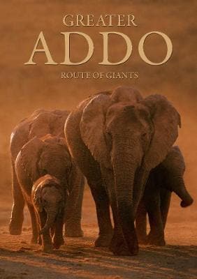 Greater Addo: Route of Giants