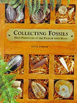 Collecting Fossils: Hold Prehistory in the Palm of Your Hand