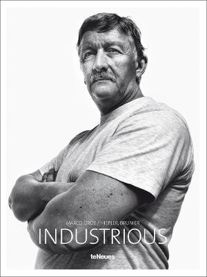 Industrious (Hardcover)