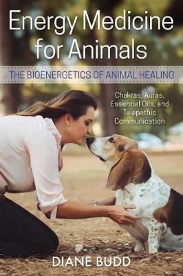 Energy Medicine for Animals: The Bioenergetics of Animal Healing (Paperback)