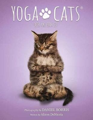 Yoga Cats Deck and Book Set