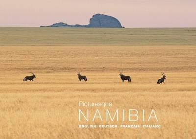 Picturesque Namibia