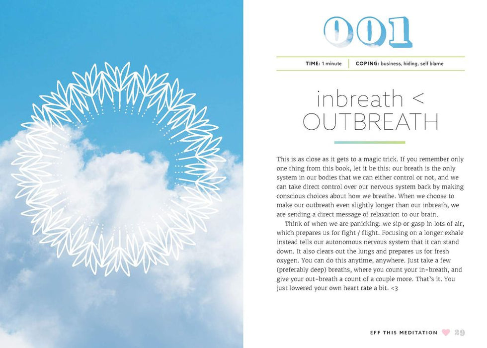 Eff This! Meditation: 108 Tips, Tricks, and Ideas for When You're Feeling Anxious, Stressed Out, or Overwhelmed (Hardcover)