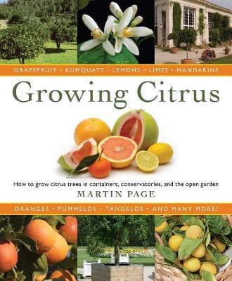 Growing Citrus - the Essential Gardeners Guide