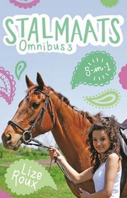 Stalmaats Omnibus 3 (Boek 11-15)