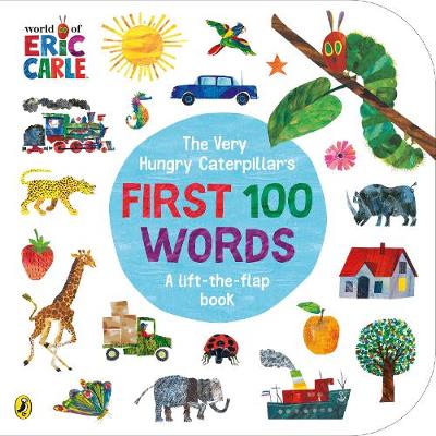 VHC First 100 Words Lift-the-Flap BB