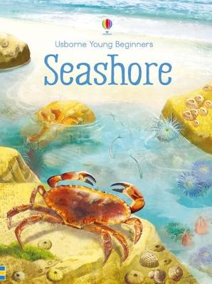 Young Beginners Seashore
