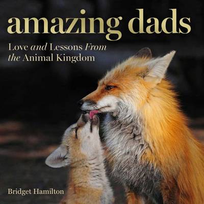 Amazing Dads (Hardcover)