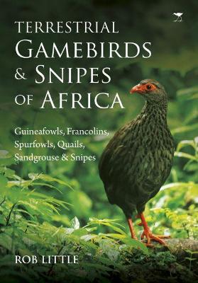 Terrestrial gamebirds & snipes of Africa: Guineafowls, Francolins, Spurfowls, Quails, Sangrouse & Snipes