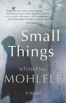 Small Things: A Novel (Paperback)