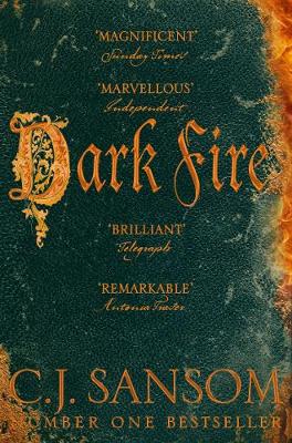 Dark Fire (Paperback)