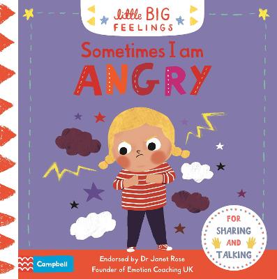 LITTLE BIG FEELINGS:SOMETIMES I AM ANGRY