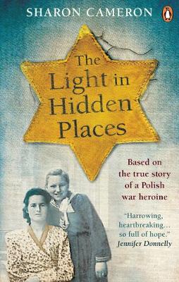 The Light in Hidden Places (Paperback)