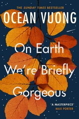 On Earth We're Briefly Gorgeous (Paperback)