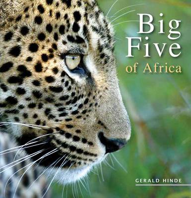 Big Five of Africa (Paperback)