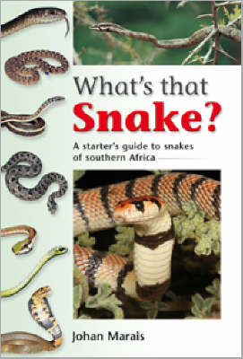 What's that snake?