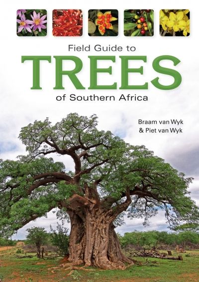 Field guide to trees of Southern Africa (Paperback) (Revised Edition)