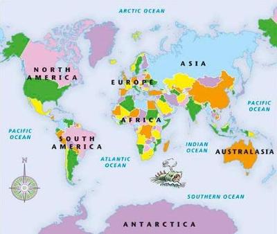 Junior World Jigsaw Puzzle